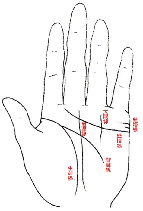 生命線下面多一條|手掌紋中「生命線」會出現的7種情況及所對應的命理